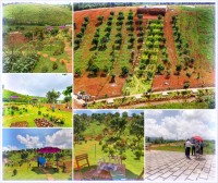 Biệt thự vườn liền kề Thác Đambri TP Bảo Lộc, 2.8 triệu/m2, TC, SHR