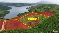 bán 1000m2 đất view hồ tại Bảo Lộc , gần DT725 , sổ sẵn giá chỉ 1,8tr/m2