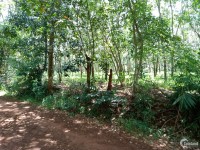 Đất nền phân lô tại Nghĩa Bình, Bù Đăng, Bình Phước giá đầu tư 600tr