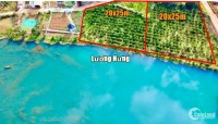 Đất nghĩ dưỡng Bảo Lộc view Hồ Daklong Thượng 500m2 giá chỉ với 999tr