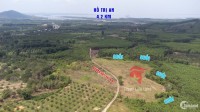 Đất bds Thanh Sơn Định Quán Đồng Nai 2 sào 100 đất thổ cư 1,3 tỷ giá tốt nhất hu