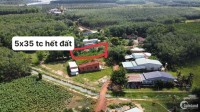 Chính chủ gửi bán lô đất đường rộng 6m thông thoáng ở ấp 6, Bàu Đồn, Gò Dầu, TN