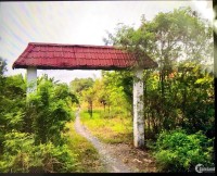 Bán đất thổ vườn Bình Chánh - Thuận tiện xây Biệt thự vườn