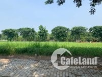 Cần sang 5 lô đất KDC Phú Xuân Cotec Nhà Bè giá ưu đãi 2tỷ3 80m2 sổ hồng riêng