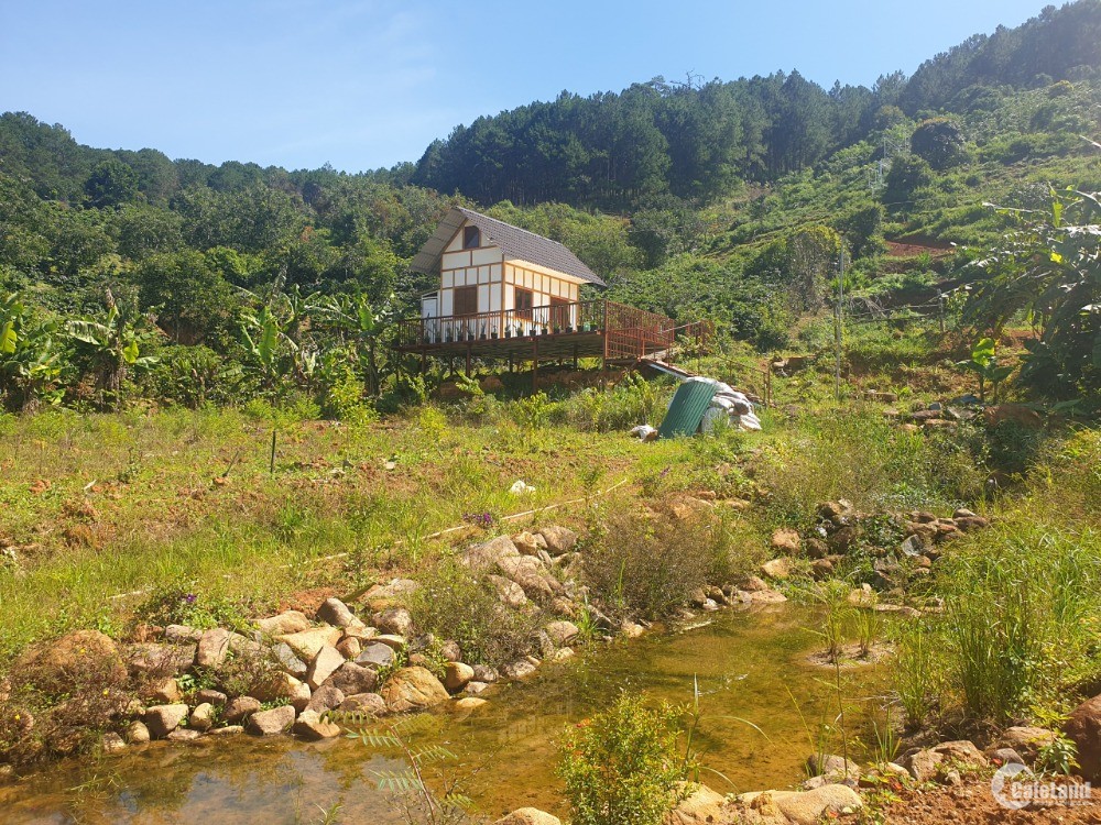 Đất vườn đà lạt, 5563m2, chỉ 1,8tr/m2 sổ hồng riêng, có suối chảy ngang đất.