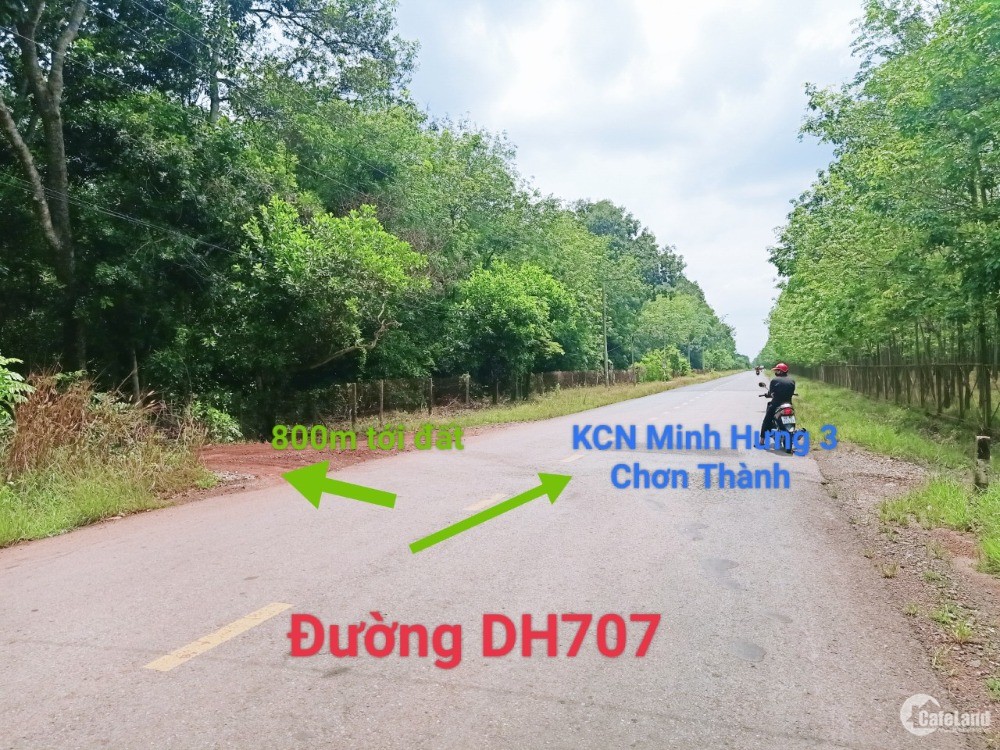 Kẹt tiền bán rẻ 1000m2 đất thích hợp xây trọ nhà nghỉ gần KCN Minh Hưng  giá chỉ 24 triệum2  Nhà Đất 24h