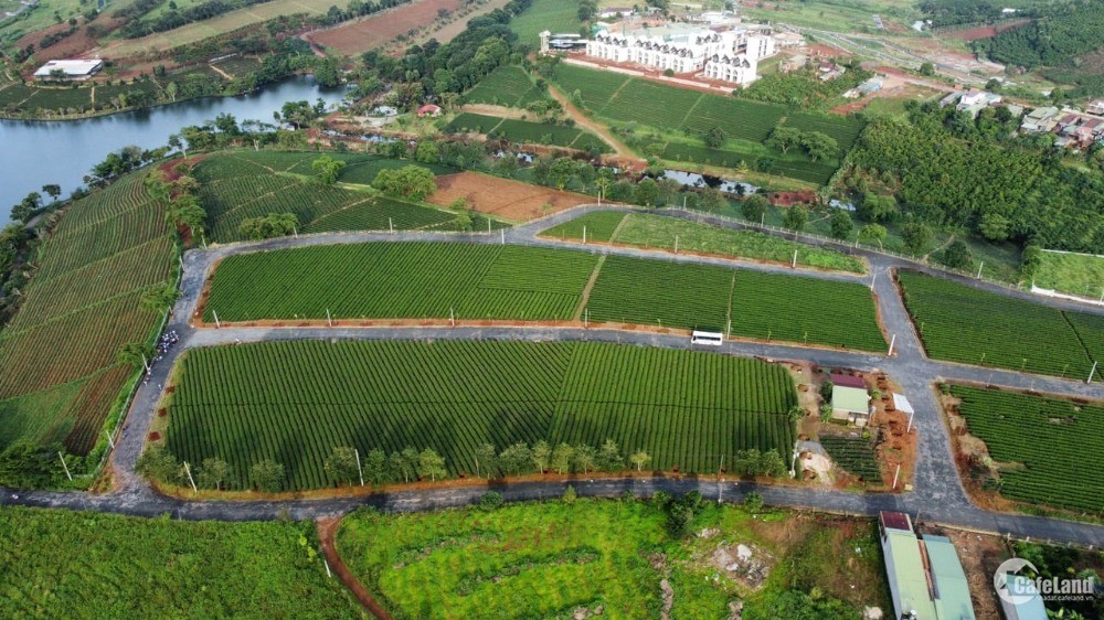 Bán đất Dân 230m Thổ cư view Hồ nghĩ dưỡng tại Bảo Lộc chỉ 1Tỷ2