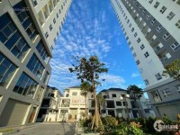 95 tỷ - sở hữu siêu villa Thảo Điền - Quận 2. DT: 29 x 23m - 2 lầu, sân vườn - h