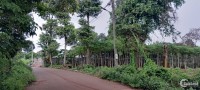 Bán đất xã Long Phước Bà Rịa - Bà Rịa Vũng Tàu giá 2.85 Tỷ đón đầu đô thị loại 1
