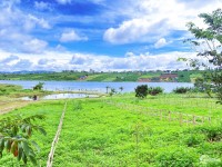 Bán đất nền nghỉ dưỡng view hồ Phúc Thọ Lâm Hà giá từ 2.99 tỷ 700m thổ cư 300m