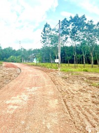 Gia Đình cần tiền bán gấp lô đất ngay UBND Tân Lợi, sát KCN Becamex Đồng Phú