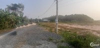 Bán lô đất F0 tại Tầm Lanh - Hiệp Thạnh - Gò Dầu . Giá yêu thương 525 triệu