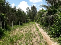 Bán cắt lỗ đất thổ vườn gần VĐ3-Lý Thái Tổ xã Phú Thạnh 1000m2 có 100 thổ, 6tỷ