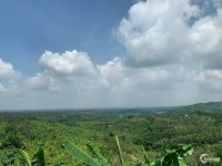 Bán đất vườn 1000m2 ngay trung tâm Thống Nhất Đồng Nai, Ngân hàng hỗ trợ vay 60%