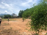 Bán lô đất CLN , QH thổ tại xã Diên Thọ , Diên Khánh , Khánh Hòa
