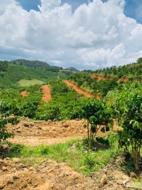 Bán lô đất sào trồng sầu riêng view đẹp 1.5 hecta - Thôn Pre, Phú Hội, Đức Trọ