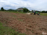 Bán 1261m2 đất sào hồng liêm có sẵn đường đất, cây trồng chỉ 353tr Lh 0938677909