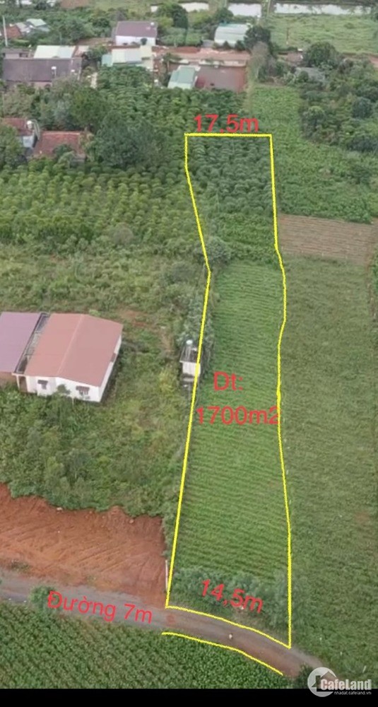 ĐẤT CHÍNH CHỦ NGỘP CẦN RA NHNAH GIÁ RẺ