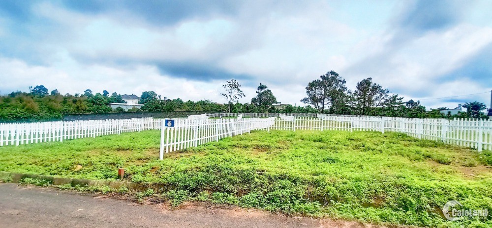 Đất nền thổ cư - view đồi - view sông - view trực diện nhìn toàn thành phố BảLộc