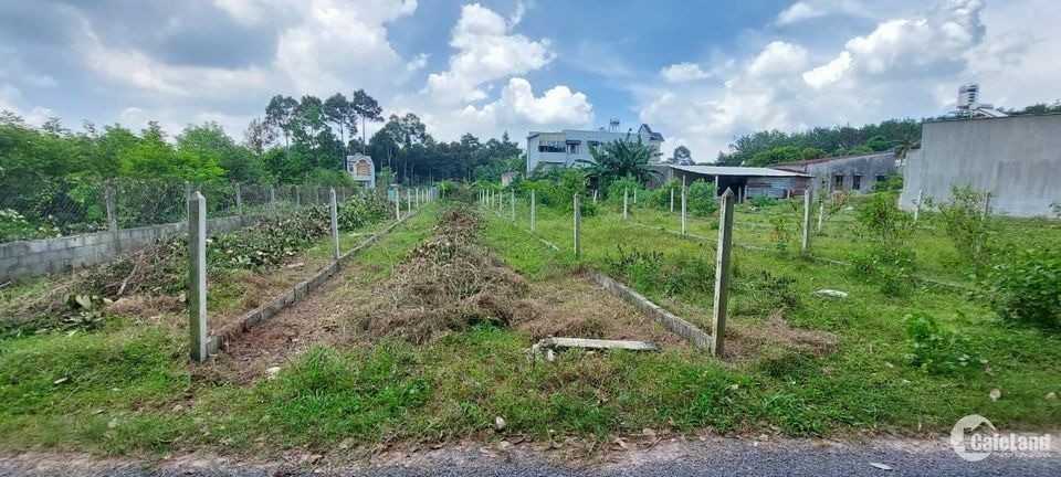 Bán đất thổ vườn 206m2 - Củ Chi