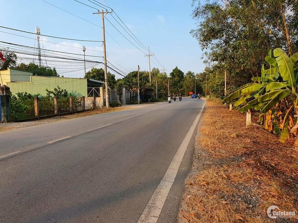 Bán đất thổ vườn 206m2 - Củ Chi