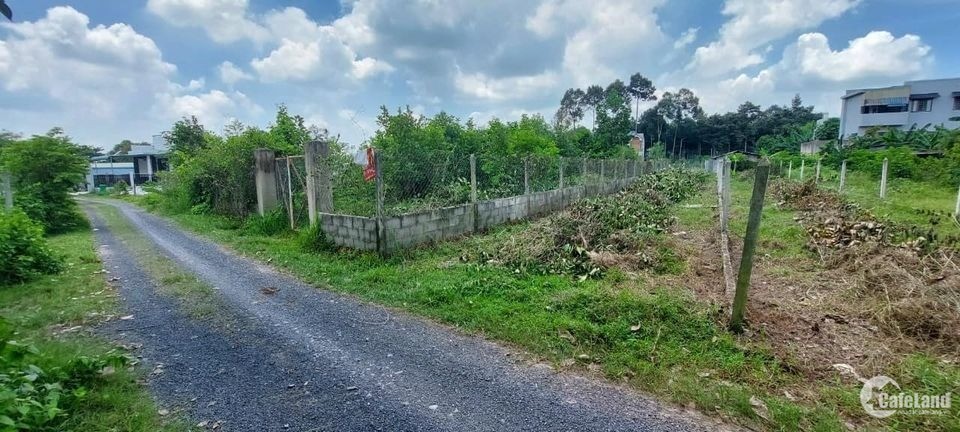 Bán đất thổ vườn 206m2 - Củ Chi