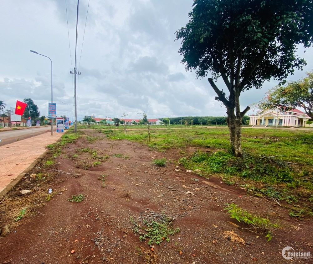 Chỉ 6.8tr/m2 sở hữu ngay lô đất 132m2 ngay xã Phú Lộc,huyện Krông Năng