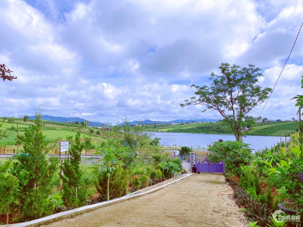 Bán đất nền view hồ nghỉ dưỡng Lâm Đồng chỉ từ 4 triệu 1m2, sổ ...