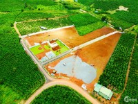 Bán đất nền biệt thự nghỉ dưỡng Bảo Lộc, giá chỉ từ 1,1 tỷ/nền