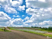 Cần ra lô đất sát bên KDC Nguyễn Đình Chiểu- View đồi -sổ hồng sẵn-full thổ cư