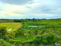 Chính chủ bán gấp đất vườn gần hồ Suối Rao