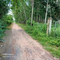 Đất Nền 1/ngắn Nguyễn Thị Rành 15x57 (thổ cư) cách Tỉnh lộ 7 1km Giá 4 Tỷ