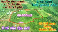 Bán rẫy 6ha giá bắt đáy, nguồn thu 10 tấn tiêu, 4 tấn cà phê, đường đất lớn