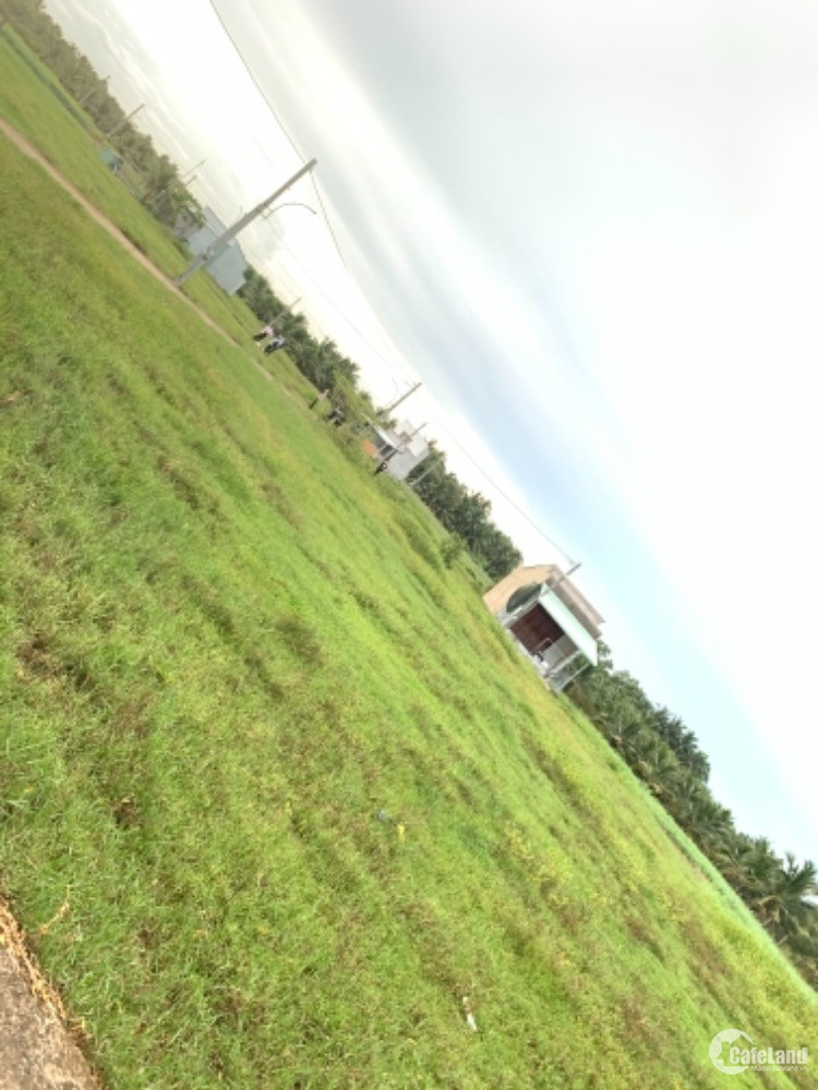 BÁN GẤP LÔ ĐẤT PHÍA SAU KCN TÂN HƯƠNG