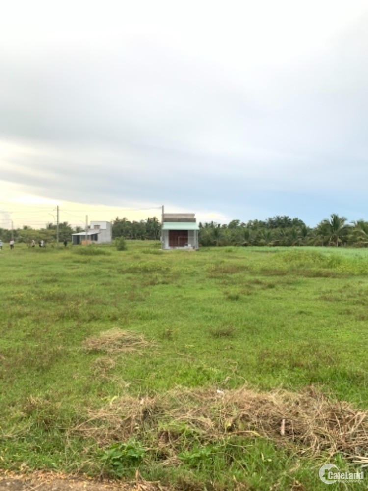 BÁN GẤP LÔ ĐẤT PHÍA SAU KCN TÂN HƯƠNG