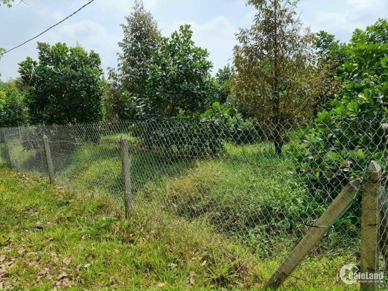 CHỦ BÁN LỖ 2.600M2 GIÁ 279 TRIỆU, ĐẤT CÓ THỔ CƯ, NGAY KHU CHỢ VÀ KHU CÔNG NGHIỆP