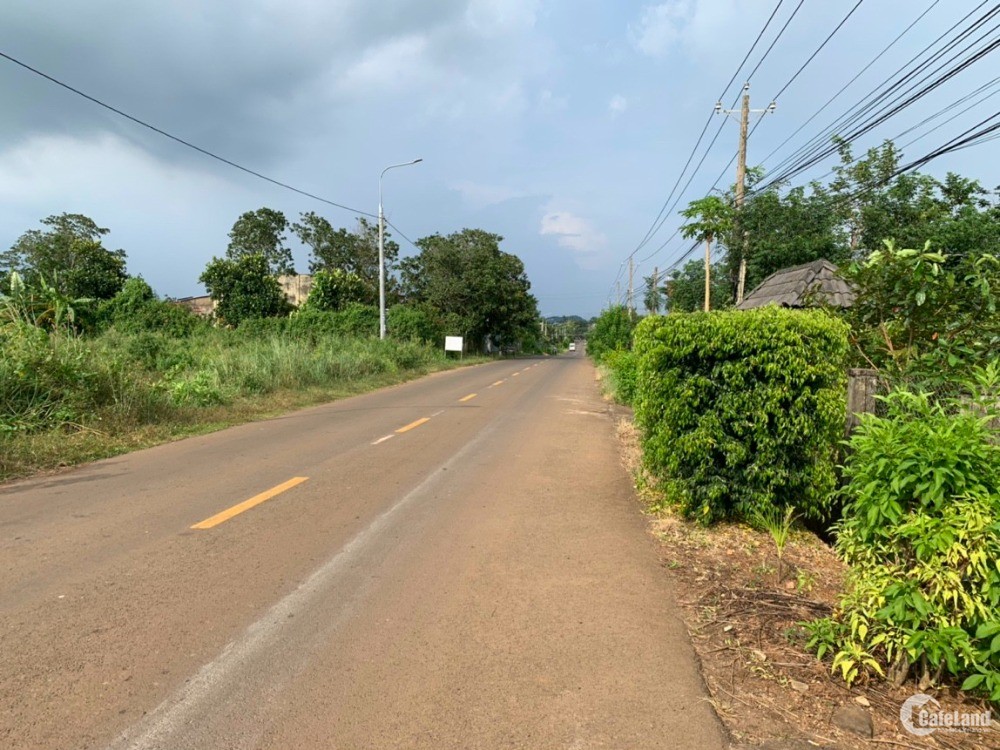 CHỦ BÁN LỖ 2.600M2 GIÁ 279 TRIỆU, ĐẤT CÓ THỔ CƯ, NGAY KHU CHỢ VÀ KHU CÔNG NGHIỆP