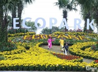 Mở Bán Eco Central Park Vinh. Giá F0 Từ Chủ Đầu Tư