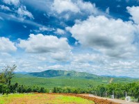 Đất thổ cư Bảo Lộc SHR view đồi săn mây, 6x20 giá 800 triệu