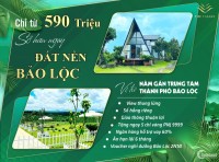 ĐẦU TƯ SINH LỜI CÙNG ĐẤT THỔ CƯ TP BẢO LỘC CHỈ TỪ 590TR