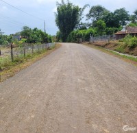 Đất xào, KCN Đồng Phú-Thuận Lợi quy mô 400ha