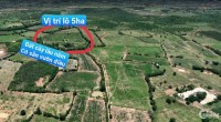 Bán vài lô vườn điều sẵn Hàm Thuận Bắc, SHR, gần QL1A chỉ 300tr/lô
