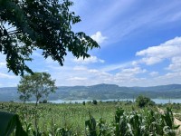 Bán 1005m2 đất đầu tư nghỉ dưỡng view Sông Đồng Nai, Lâm Hà giá chỉ 925tr