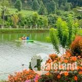 Đất nghỉ dưỡng Bảo Lộc , view hồ tảo hồng và đồi chè cực đẹp