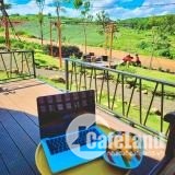 Đất nghỉ dưỡng Bảo Lộc , view hồ tảo hồng và đồi chè cực đẹp