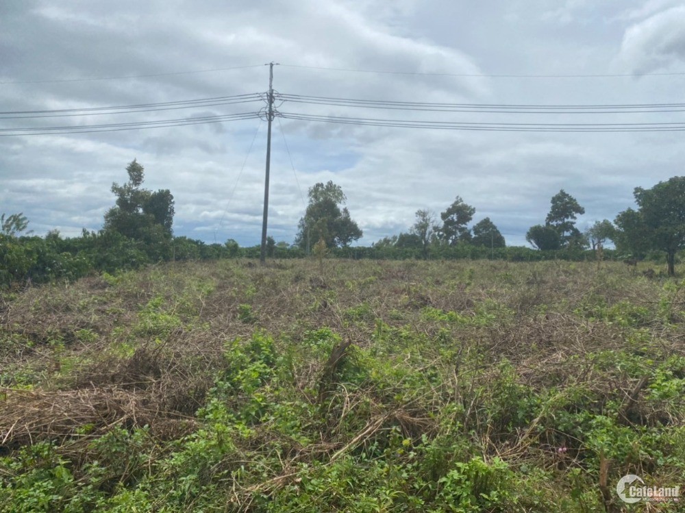 CHÍNH CHỦ BÁN LÔ ĐẤT MẶT TIỀN, GIÁ RẺ TẠI LÀNG PHUNG ,XÃ BIỂN HỒ, TP PLEIKU