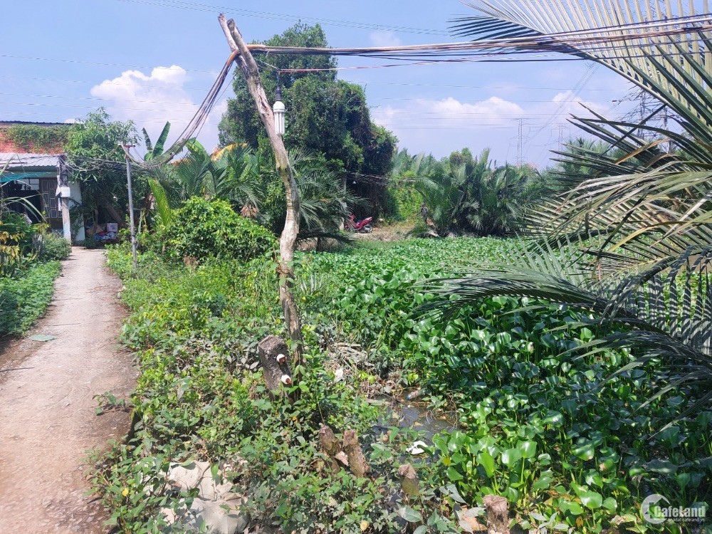 Cần tiền tiêu tết bán lô đất nông nghiệp 965m, Nhơn đức nhà bè, giáp GS hàn quốc