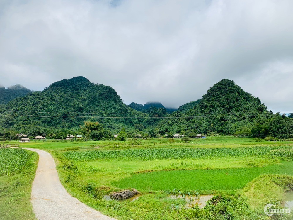 Mai Châu là cái nôi văn hoá du lịch của tỉnh Hoà Bình, mang đậm bản sắc Tây Bắc