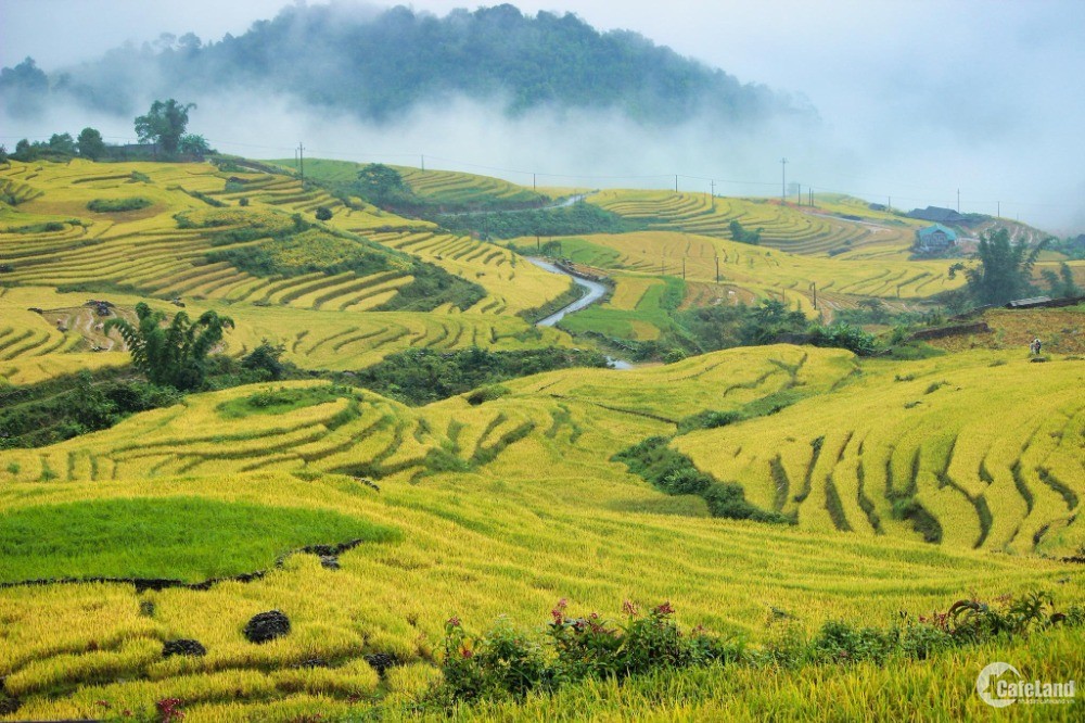 Đất nền trung tâm Sapa,đón sóng Sân Bay Sapa,giá cắt lỗ