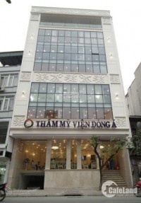 Hàng Vip - building MT Nguyễn Đình Chiểu, Quận 3 - 14x15m, hầm 8 tầng, HĐT 300tr